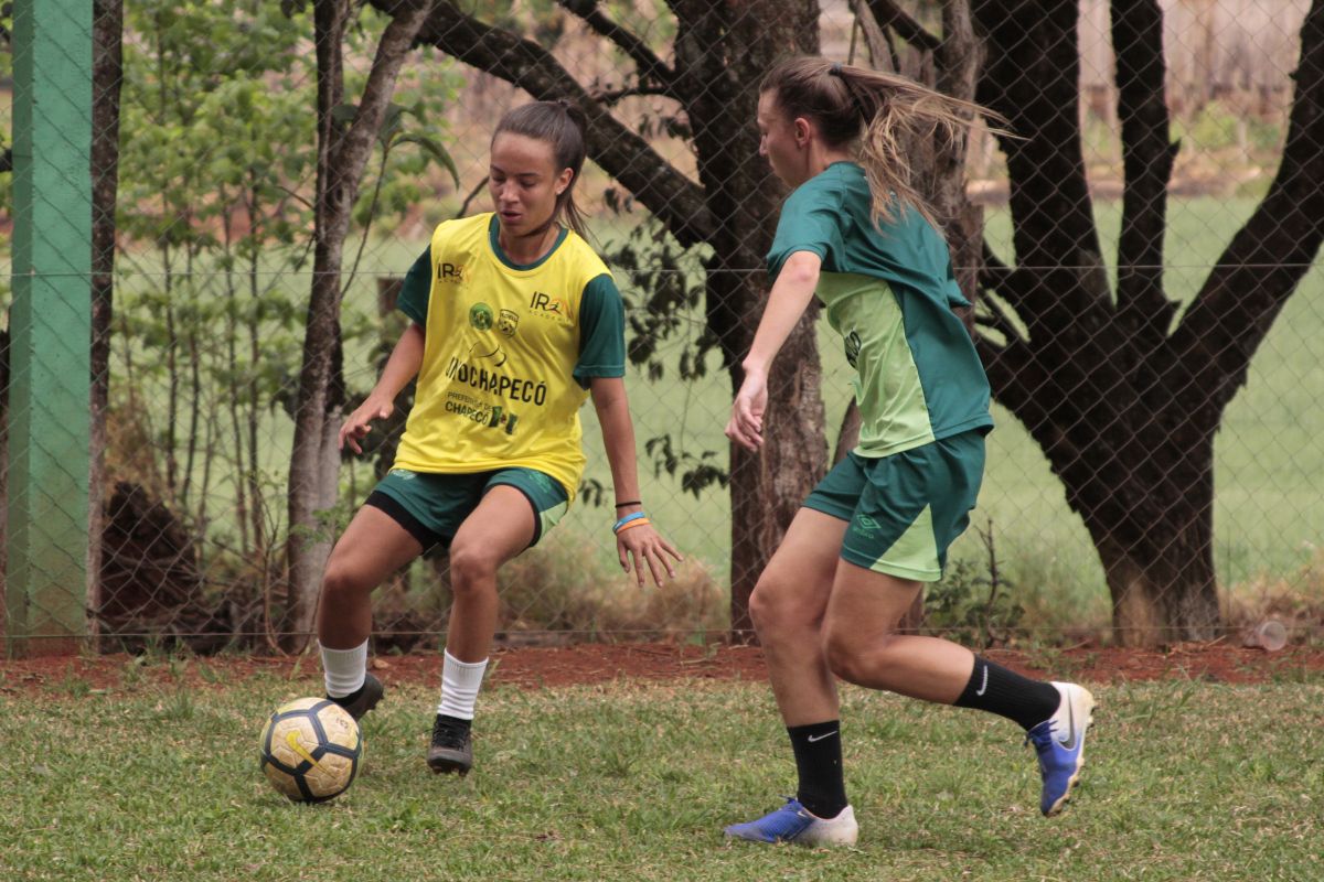 Federação Catarinense de Futebol Virtual